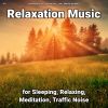 Download track Zen Music For Serene Sleep