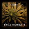 Download track Efecto Invernadero