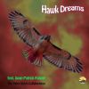 Download track Hawk Dreams