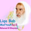 Download track Liqa Bab Maftouh, Pt. 11