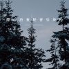 Download track 轻风去拥抱你 (轻音乐)