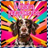 Download track Paseo Al Aire Libre