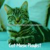 Download track Divine Jazz Guitar Trio - Vibe For Cats