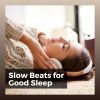 Download track Lofi Sleep Study