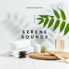 Download track Serene Forest Streams