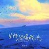 Download track 曾经温暖我的光 (伴奏)