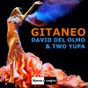 Download track Gitaneo (Radio Edit)