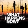 Download track What Happens Now?