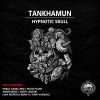 Download track Hypnotic Skull (Pulse Plant Remix)