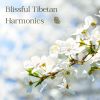 Download track Blissful Tibetan Harmonics