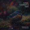 Download track Birds Warning The Arrival Of Thunder