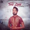 Download track Teri Zidd