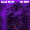 Download track The Joint (House Mix)