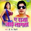 Download track Tu Hamke Bhula Gailu