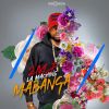 Download track Mabanga