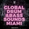 Download track Global Drum & Bass Sounds Miami (Continuous Mix)