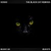 Download track The Black Cat (DJ. Nece Prr Mix)