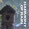 Download track Thundering Rain For Peaceful Reading, Pt. 5