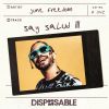 Download track Say Salud (Sped Up)