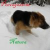 Download track La Nevicata