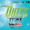 Download track Never Gonna Give You Up (Select Mix Quick Trax)