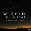 Download track Wishin' On A Star (Jungle Evolution)