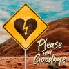 Download track Please Say Goodbye