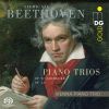 Download track Piano Trio In C Minor, Op. 1, No. 3: II. Andante Cantabile Con Variazioni'