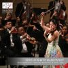 Download track Violin Concerto In D Minor, Op. 47: I. Allegro Moderato (Live)