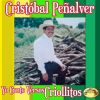 Download track Soy El Propio Parrandero