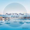 Download track Flight (Original Mix)