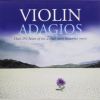 Download track Violin Concerto: Andante