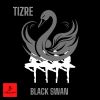 Download track Black Swan