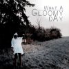 Download track Gloomy Day