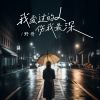 Download track 我爱过的人伤我最深 (伴奏)