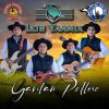 Download track Paso Doble Caminando Con Alegria