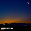 Download track Summer Night Sky (Several Dub Deep Dive)