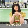 Download track Kumquat