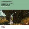 Download track String Quartet No. 8 In E Major, Op. 80, B. 57: IV. Finale. Allegro Con Brio