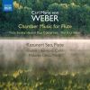 Download track Trio In G Minor, Op. 63, J. 259 III. Schäfers Klage. Andante Espressivo
