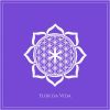 Download track Flor Da Vida (Interlúdio)