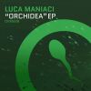 Download track Orchidea