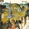 Download track 07. Bach- Widerstehe Doch Der Sünde, BWV 54- II. Recitativo -Die Art Verruchter Sünden-