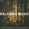 Download track Soothing Peace