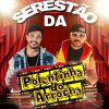 Download track Sair Pra Beber Pra Te Esquecer