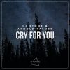 Download track Cry For You (Extended Mix)