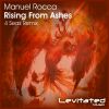 Download track Rising From Ashes (4 Seas Radio Edit)