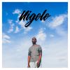 Download track Nigele