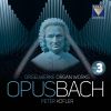 Download track O Lamm Gottes Unschuldig, BWV 1085: Manualiter