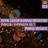 Download track 01 - Symphony No. 7 In E Minor - I. Langsam - Allegro Con Fuoco